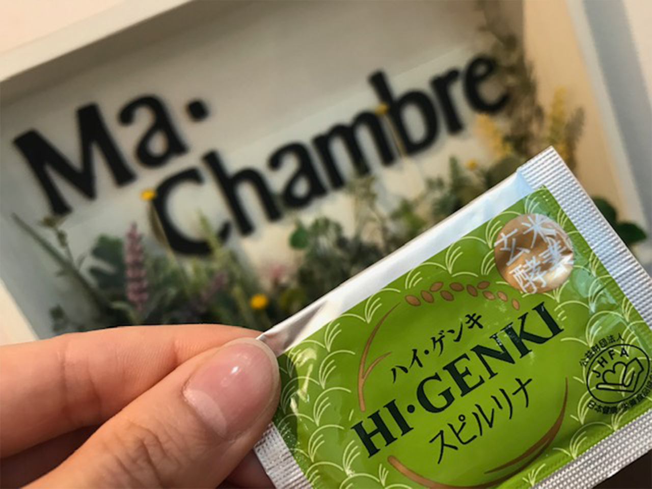 写真1